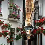 Apartmán Apto Con Patio Y Barbacoa Bbq H De La Reina