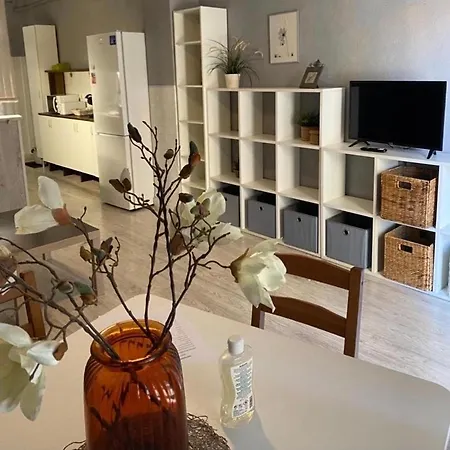 Apto Con Patio Y Barbacoa Bbq H De La Reina Apartment