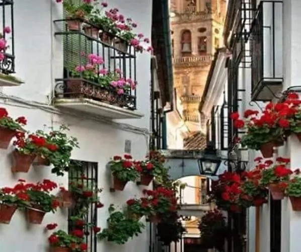 Apartmán Apto Con Patio Y Barbacoa Bbq H De La Reina