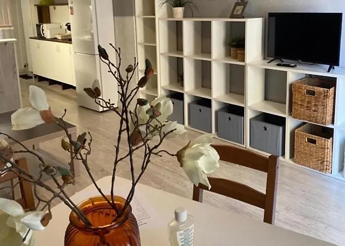 Apto Con Patio Y Barbacoa Bbq H De La Reina Apartment