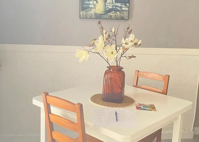 Apto Con Patio Y Barbacoa Bbq H De La Reina *