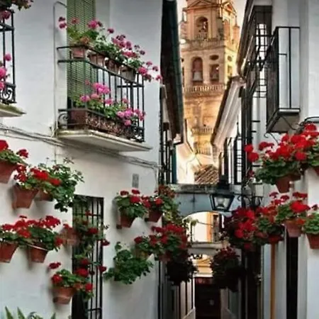 Apartman Apto Con Patio Y Barbacoa Bbq H De La Reina