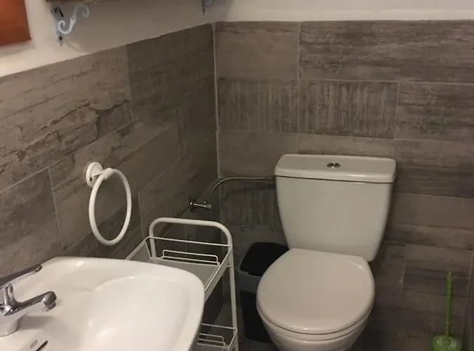 Apto Con Patio Y Barbacoa Bbq H De La Reina